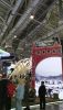 IMG-20240302-WA0043.thumb.jpg.65c55f41617d1a0cadb645cd0feb7b4c.jpg