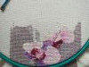 IMG20240301152545.thumb.jpg.f46de7ea10fc0e399bc861fd8a7ce3d4.jpg?1709393050503
