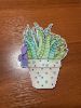 IMG_0193.jpeg