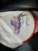IMG_0717.jpeg