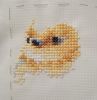IMG_20240229_191713.thumb.jpg.b8a647d30db645810681e8fdf459c166.jpg