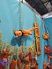 IMG_20240301_153511.jpg