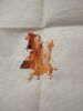 IMG_20240310_181706.thumb.jpg.897718bd99921fea40cc0833348917a2.jpg