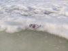 IMG_20240316_160336.thumb.jpg.e91943cb40cf39534b3ec731b93348bb.jpg