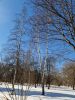 IMG_20240322_161728_001.thumb.jpg.2904521306a0d2014eb30224e8f911a0.jpg