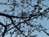 IMG_20240322_181529.thumb.jpg.380cb331952a2afb6dd50e4a3786f1e7.jpg