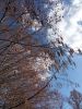 IMG_20240330_161252.thumb.jpg.fc48377c65220ae6d2122f2bb18384db.jpg