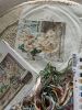 IMG_2169.jpeg