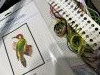 IMG_4943.jpeg