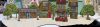IMG_5365.jpeg