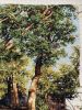 IMG_9960.jpeg