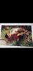 Screenshot_2024-03-18-18-33-35-362_com.vkontakte.android.thumb.jpg.baeddfb36ba0330d6a6f1408ed3eaaf3.jpg