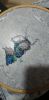 1.thumb.jpg.d4a8eed149706e799ea025d169bdb48b.jpg