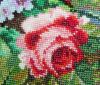 12.thumb.jpg.711ad2e305deb1303ebb0ec3f1c493b6.jpg