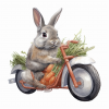 123.thumb.png.ae1a9eba0b1b91a06809c3750aa2ca99.png