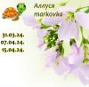 1291835114_1.thumb.jpeg.899de7226dc1c6d5d4b6700395de31d8.jpeg
