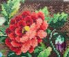 13.thumb.jpg.ab3a44ce0629b2b9db0c26aadfda9e5e.jpg