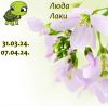 1382886796_11.thumb.jpeg.6feea80defd73ad718860605c7c6ea3b.jpeg