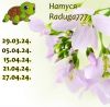 1817618491_16.thumb.jpeg.14cb36dc7c28eb8e80c40b24bc5680e6.jpeg