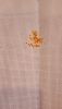 20240401_164643.thumb.jpg.9ee5dc9ed6cb616cb9cfb6b19c51fce0.jpg