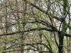 20240422_171649.thumb.jpg.458294cf4c33633bfaa4b30dad96482a.jpg?1714363870781