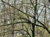 20240422_171658.thumb.jpg.6576369c091a55d46ef4a13141738f42.jpg?1714363893131
