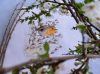 20240428_175705.thumb.jpg.be4445b0cceeca8bb2a7a3dce90c82d5.jpg
