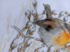 20240428_175920.thumb.jpg.8ebcf70044aeefdc97dfe14cee154dbe.jpg