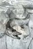 20436886_.thumb.png.98a8430fcd89dd9ae5ad74b99e296623.png