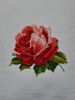 3.thumb.jpg.fb0c706d8a9d985ba395d7f1b04d1a91.jpg