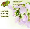 333353826_16.thumb.jpeg.590ab12d6fa7c2acdc0ed5c083627eef.jpeg