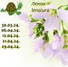 432809559_9.thumb.jpeg.7be44e113b7c347cdd1ff3a22bcde203.jpeg