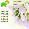 443951864_13.thumb.jpeg.04ef4dd36e4f019114e8599d2bd2ea60.jpeg