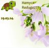 733302628_16.thumb.jpeg.1a7de66920eff573d4a924d1152e2910.jpeg