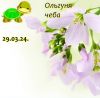 931895796_13.thumb.jpeg.d670343b3ac9773e7fb2859671c48eee.jpeg