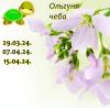 95624687_13.thumb.jpeg.e7bc4e5ddee60c68b74bacf3b55b65cc.jpeg