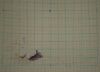 DSC07576.thumb.JPG.7808bc3a8319ba2d1daa338f5b251f6e.JPG