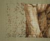DSC07595.JPG.3cffde0b9ae06a5e034faed3a38e9c65.thumb.jpg.3d08a4fff1795399968e69e9abcf29c0.jpg
