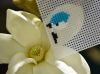 DSC_0065-2.thumb.JPG.c3b6de706f27d264de965e356169035e.JPG