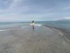 IMG-20240329-WA0011.thumb.jpg.73b9a8a717dc80e80f0c12ae5979cae2.jpg