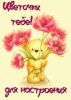 IMG-20240401-WA0001.thumb.jpg.14922f34601cc56fad2b5d2388a80759.jpg
