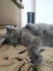 IMG-20240423-WA0016.thumb.jpg.574b75a4b0626f2b9da463a7a63341a5.jpg