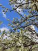 IMG20240413123400.thumb.jpg.30cc801efe0b1a0ebe862254a0b6419f.jpg