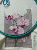 IMG20240414134416.thumb.jpg.a58b5c2dd23e67ab7bd6959eaf44fc22.jpg