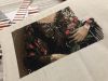 IMG_0796.jpeg
