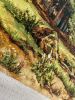 IMG_0818.jpeg