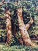 IMG_0820.jpeg