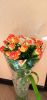IMG_20230617_184252.thumb.jpg.752fda94c3ffddbe0188e2912b18e657.jpg