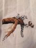 IMG_20240128_174734.thumb.jpg.790dcc69050273bd756aa98d6a92ba41.jpg