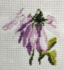 IMG_20240314_000959.thumb.jpg.06ca5ac923901cb12751bd655e1d23fc.jpg